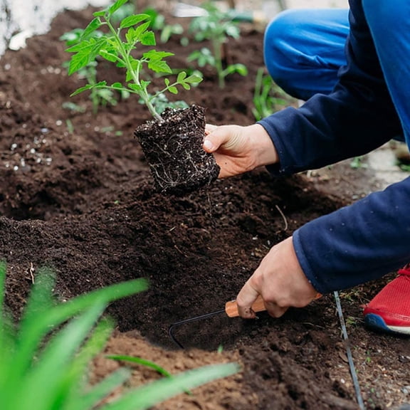 ibasenice 2Pcs Manual Weeding Tool Garden Root Tool Wooden Handle Stainless Steel for Adults Gardening