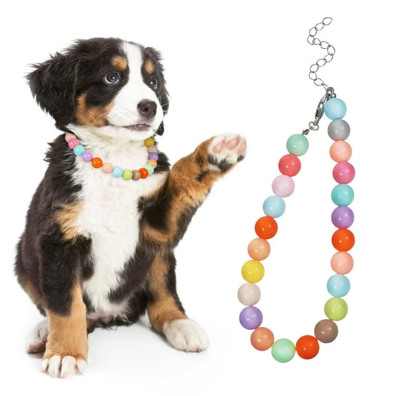 ibasenice Fancy Cat Collar 1Set Assorted Color Resin Adjustable for Dogs Cute Design Pet Decoration