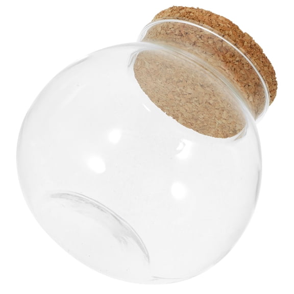 ibasenice Clear Glass Plant Bottle with Oak Wood Base, Perfect for Indoor Display, Stylish and Compact Design