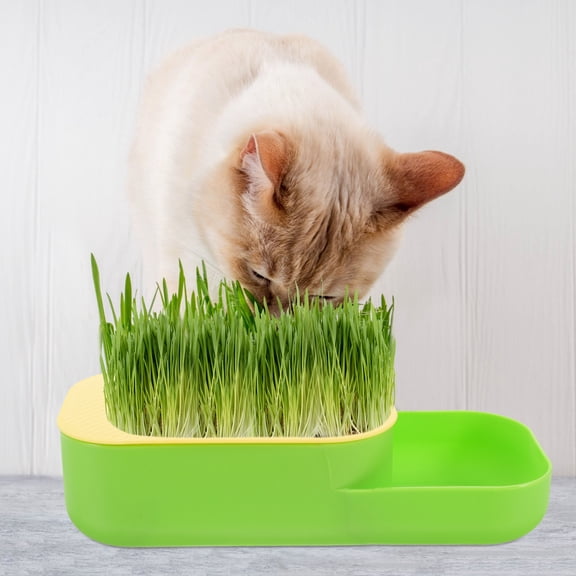 ibasenice Household Cat Plant Box in Light Green with High Budding Rate and Simple Design