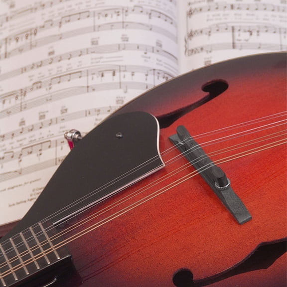 ibasenice Mandolin Instrument Parts Accessory Replacement Ebony 1Pack