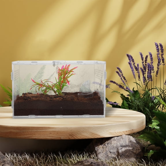 ibasenice Clear Acrylic Reptile Terrarium with Ventilation, Ideal for Small Lizards, Insects, and Plants Enclosure