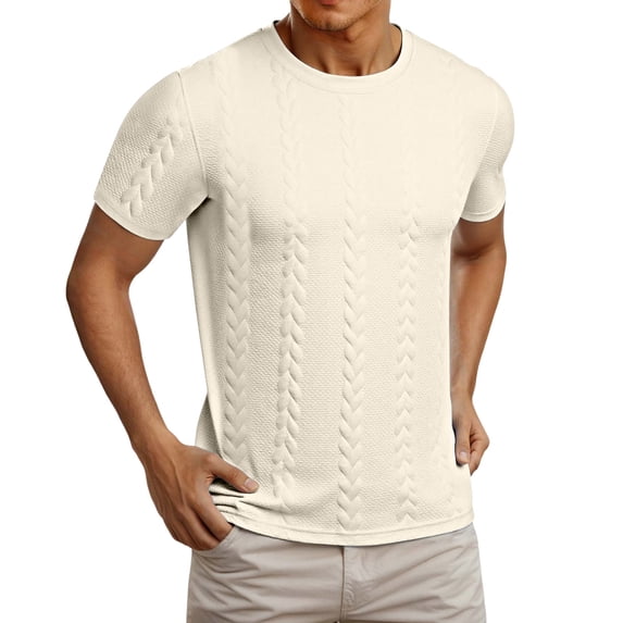 ibiyuan Mens T Shirt Crewneck Short Sleeve Tshirts Comfort Mens Shirt Summer Solid Color Tee Tops Tops