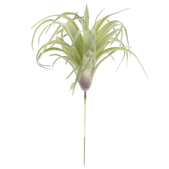 icolorfuled Artificial Succulents Tillandsia Bromeliad Bouquet Home Decor 20cm