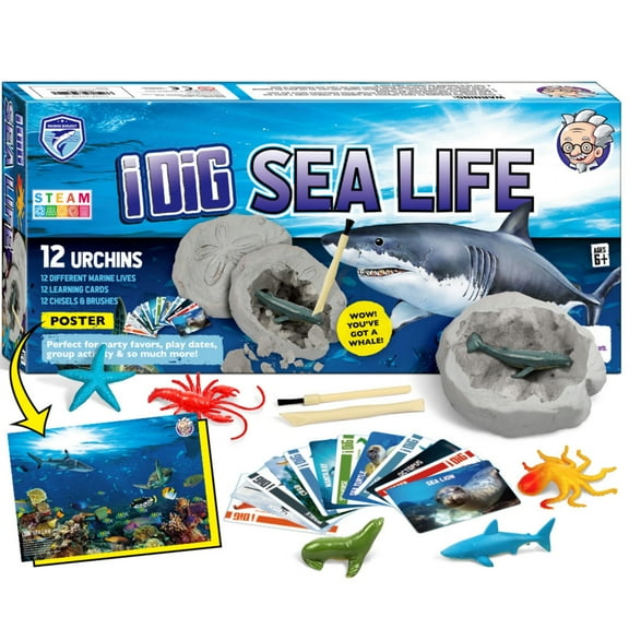 Piano Potato Ocean Organism Dig Kit for Kids, Dig up 12 Sea Creatures, STEM Educational Science Kit, Digging Toy, Marine Fossil Dig Kit, Gift for Boys and Girls Age 6+