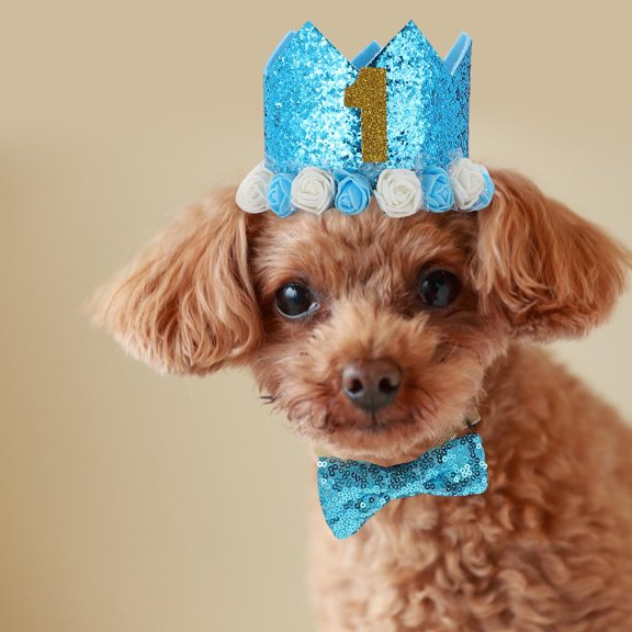 ifundom Pet Birthday Hat Blue Cloth Adjustable Bow Tie for Pet Use 1Set
