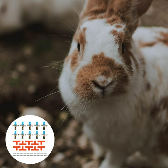 ifundom 10-Pack Automatic Water Dispenser with Red Spring Design for Small Pets Drinking