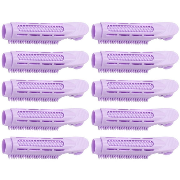 ifundom Hair Rollers 10Pcs ABS Plastic for Home Use Volumizing Styling Tools