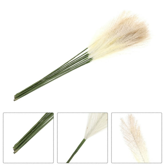 ifundom 10Pcs Light Grey Dried Reed Stems for Wedding Floral Arrangements Home Decor Craft Supplies