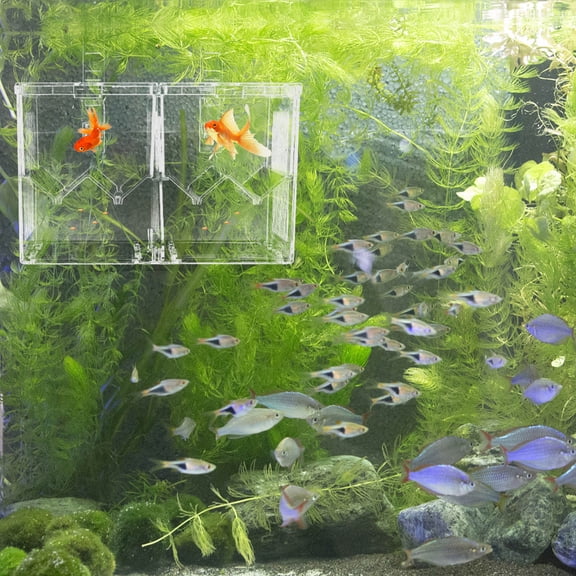 ifundom Aquarium Fish Breeding Box Easy to Clean Plastic Isolation Case for Young Fish