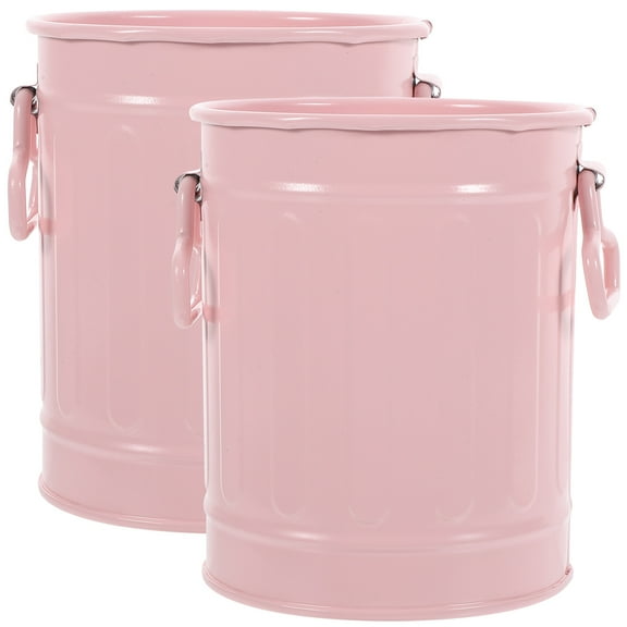 ifundom 2pcs Multi-function Planting Flower Pot Creative Flower Pot Decorative Metal Flower Bucket