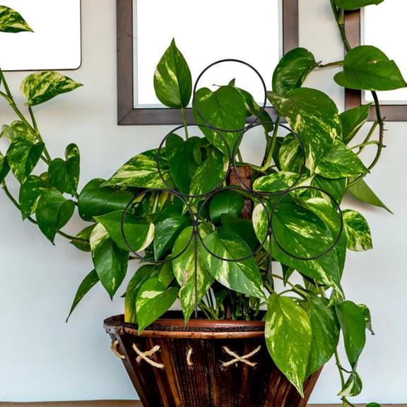 ifundom Set of 4 Black Metal Plant Trellises for Climbing Plants and Potted Flowers, Perfect for Home Gardening