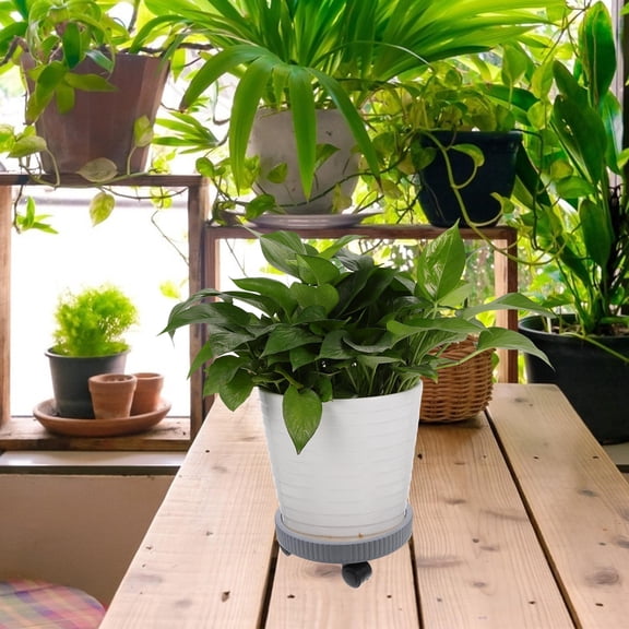 ifundom Plant with Wheels Rolling Planter Trolley White Plastic Heavy Duty Mobile Plant Stand