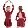 thumbnail image 1 of iiniim Kids Girls Shiny Rhinestones Long Sleeve Mesh Splice Figure Ice Skating Leotard Dress Burgundy 16, 1 of 7