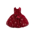 thumbnail image 1 of iiniim Toddler Baby Girls Christmas Dress Snowflake Print Wedding Party Dresses Special Occasion, 1 of 7