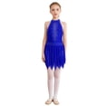 thumbnail image 1 of iixpin Kids Girls Gymnastics Tutu Skirt Figure Ice Skating Dance Leotard Dress Mesh Splice Ballet Dance Costume Royal Blue 16, 1 of 7