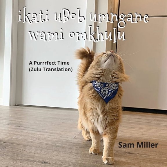ikati uBob umngane wami omkhulu - A Purrrfect Time (Zulu Translation), (Paperback)