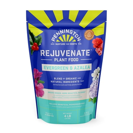 Pennington Rejuvenate Evergreen and Azalea Plant Food, 4-3-3 Fertilizer, 4 lb.