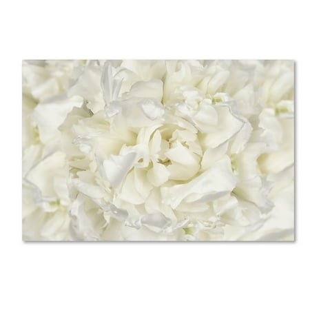 Trademark Fine Art 'White Peony Flower' Canvas Art by Cora Niele