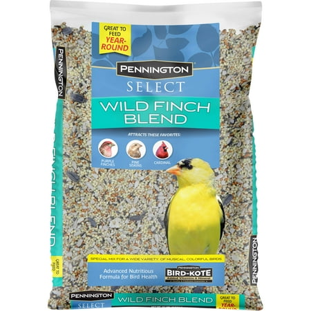 Pennington Select Wild Finch Blend, Dry Wild Bird Seed and Feed, 10 lb ...