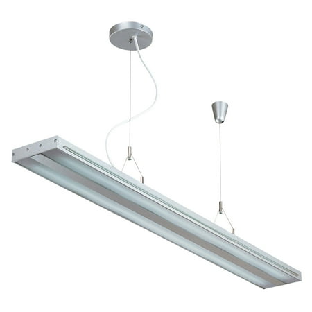 Lite Source LS-19689SILV 2 Light Fluorescent Ceiling Lamp Silver / Clear - Silver