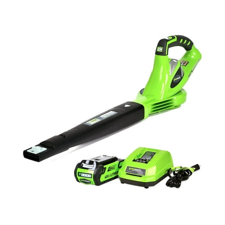 Greenworks 40V 135 CFM Leaf Blower/Sweeper w/2.0 Ah Battery, 24252