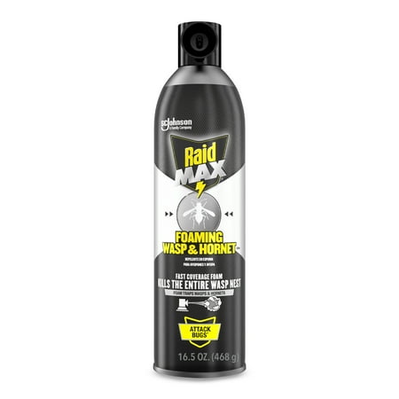 Raid Max Foaming Wasp & Hornet Killer, Fast Coverage Foam Insecticide for Wasps & Hornets, 16.5 Oz
