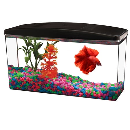 Aqua Culture Betta View 1/2-Gallon Fish Tank with Full Hood – Walmart  Inventory Checker – BrickSeek