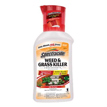 Spectracide Weed and Grass Killer Concentrate 32 oz