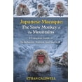 thumbnail image 1 of Japanese Macaque: the snow monkey of the mountains: A complete Guide to it's Behavior, habitat and survival, (Paperback), 1 of 4