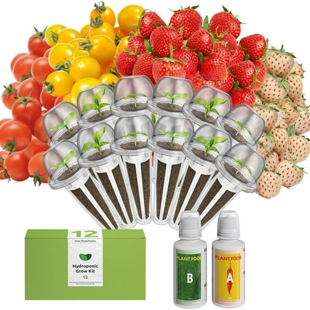 inbloom Fruit Seed Pod Kit for AeroGarden, Ahopegarden Hydroponics Growing System, 12Pods (350 Seeds+, Include Red Cherry Tomato, Golden Cherry Tomato, White Strawberry, and Red Strawberry)