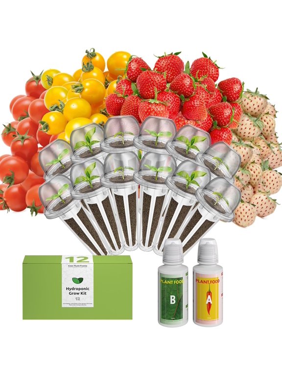 inbloom Fruit Seed Pod Kit for AeroGarden, Ahopegarden Hydroponics Growing System, 12Pods (350 Seeds+, Include Red Cherry Tomato, Golden Cherry Tomato, White Strawberry, and Red Strawberry)
