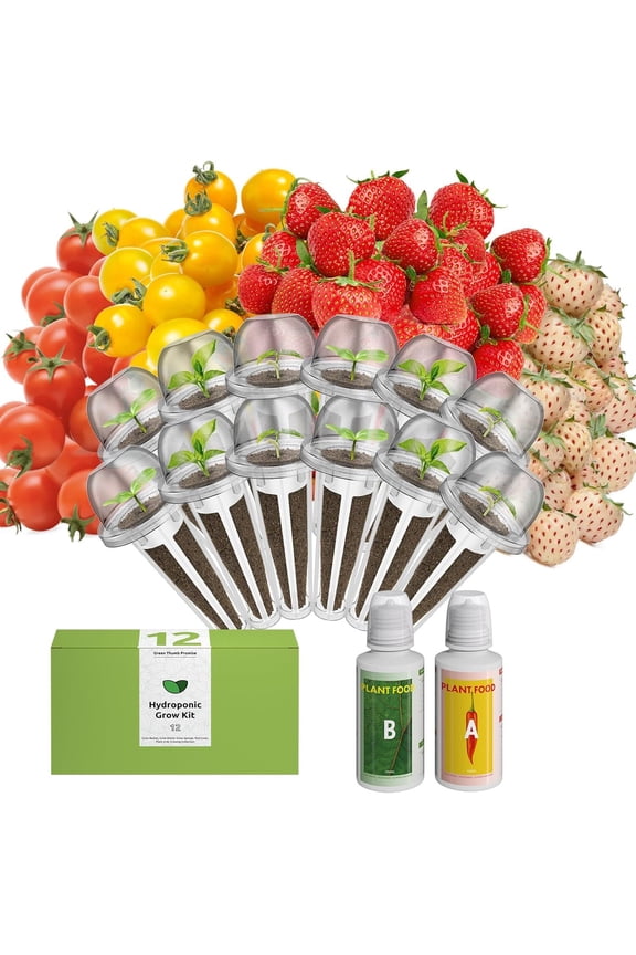 inbloom Fruit Seed Pod Kit for AeroGarden, Ahopegarden Hydroponics Growing System, 12Pods (350 Seeds+, Include Red Cherry Tomato, Golden Cherry Tomato, White Strawberry, and Red Strawberry)