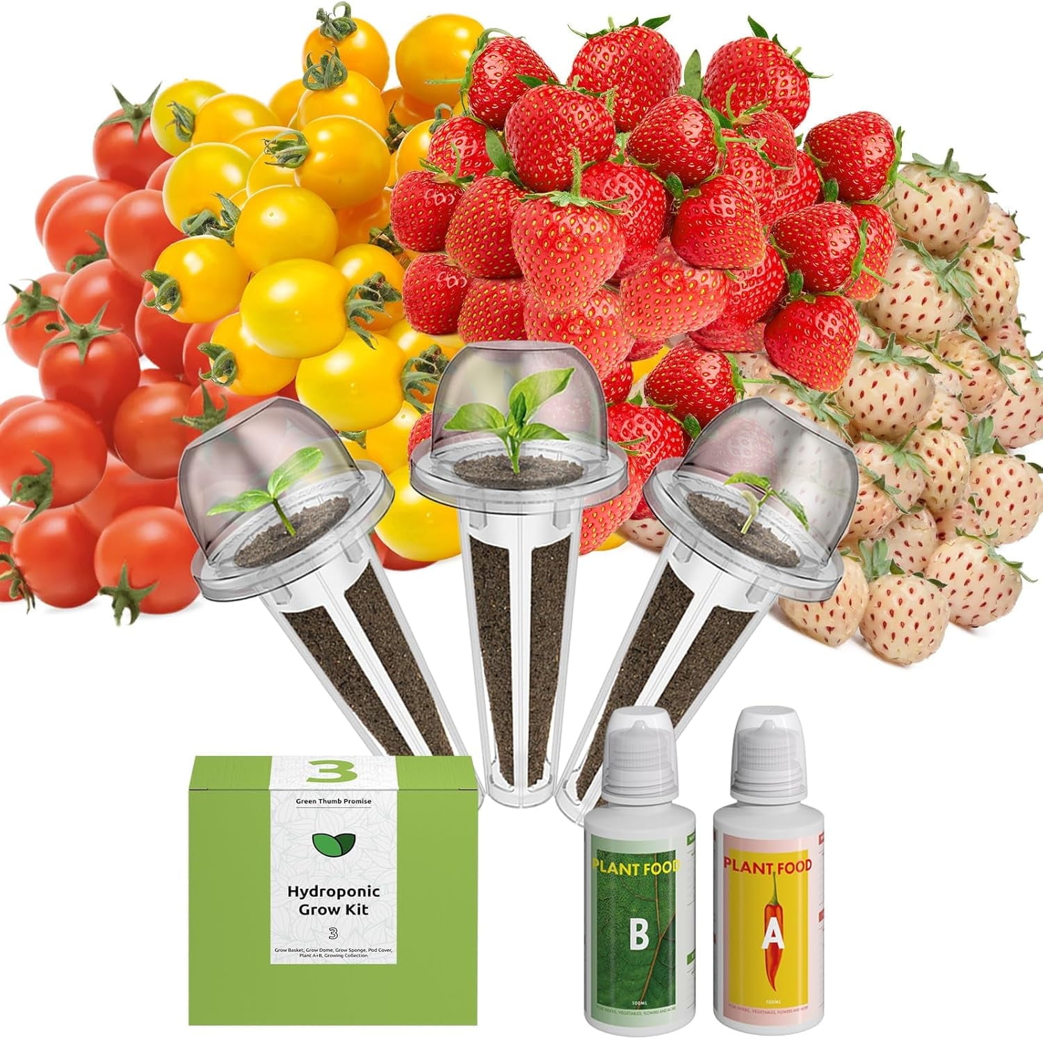 inbloom Strawberry Tomato Seed Pod Kit for AeroGarden, Ahopegarden ...