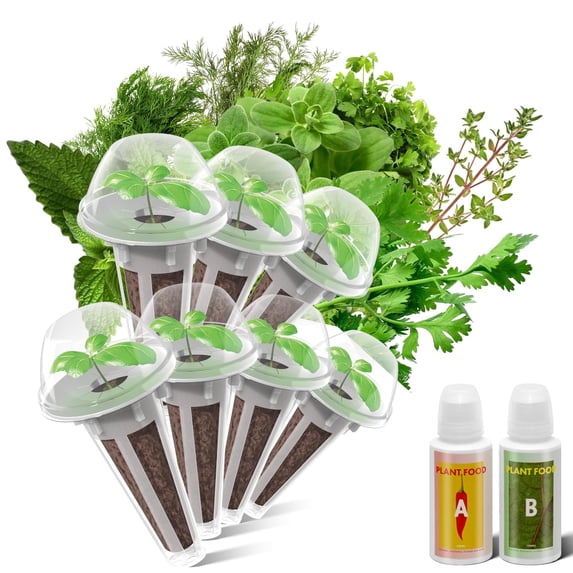 inbloom Herb Seeds with Pod Kit for inbloom Hydroponics Growing System ...