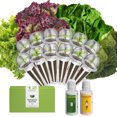 thumbnail image 1 of inbloom Lettuce Seed Pod Kit for for AeroGarden, Ahopegarden Hydroponics Growing System, 12-Pods (350+ SeedsInclude Fast Lettuce, Parris Island Lettuce, Butter Lettuce, and Red Romaine Lettuce), 1 of 7
