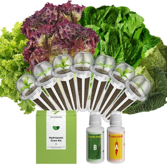 inbloom Lettuce Seed Pod Kit for for AeroGarden, Ahopegarden Hydroponics Growing System, 7-Pods (350+ SeedsInclude Fast Lettuce, Parris Island Lettuce, Butter Lettuce, and Red Romaine Lettuce)