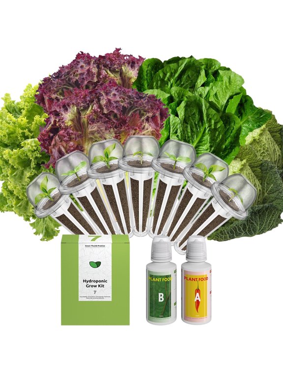 inbloom Lettuce Seed Pod Kit for for AeroGarden, Ahopegarden Hydroponics Growing System, 7-Pods (350+ SeedsInclude Fast Lettuce, Parris Island Lettuce, Butter Lettuce, and Red Romaine Lettuce)