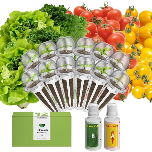 inbloom Organic Salad Seed Pod Kit for AeroGarden, Ahopegarden Hydroponics Growing System,Low-Calorie Food, 12-Pods (350+ Seeds, Include Fast and Butter Lettuce, Red Cherry and Golden Cherry Tomato)