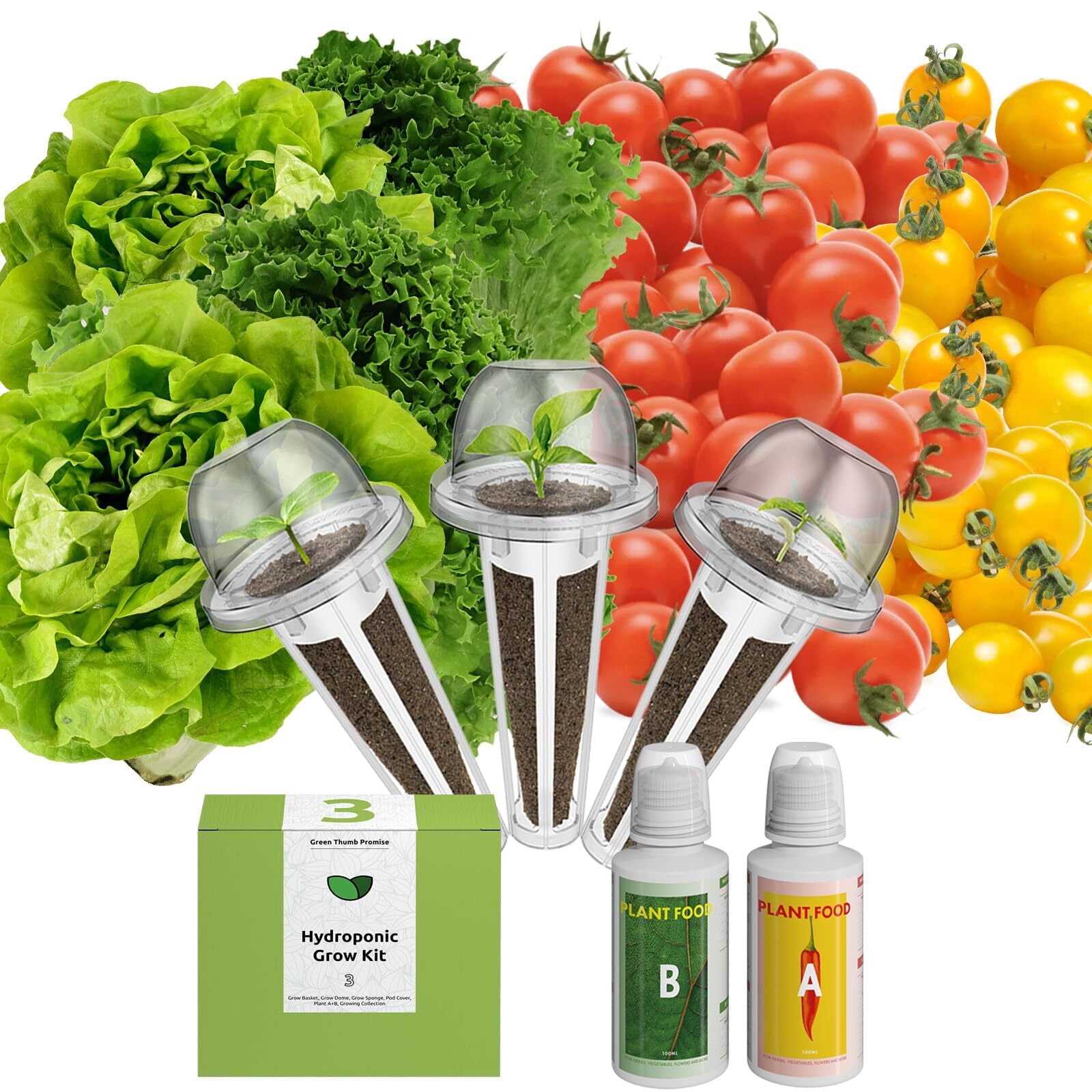 inbloom Lettuce & Tomato Seed Pod Kit for AeroGarden, Ahopegarden ...