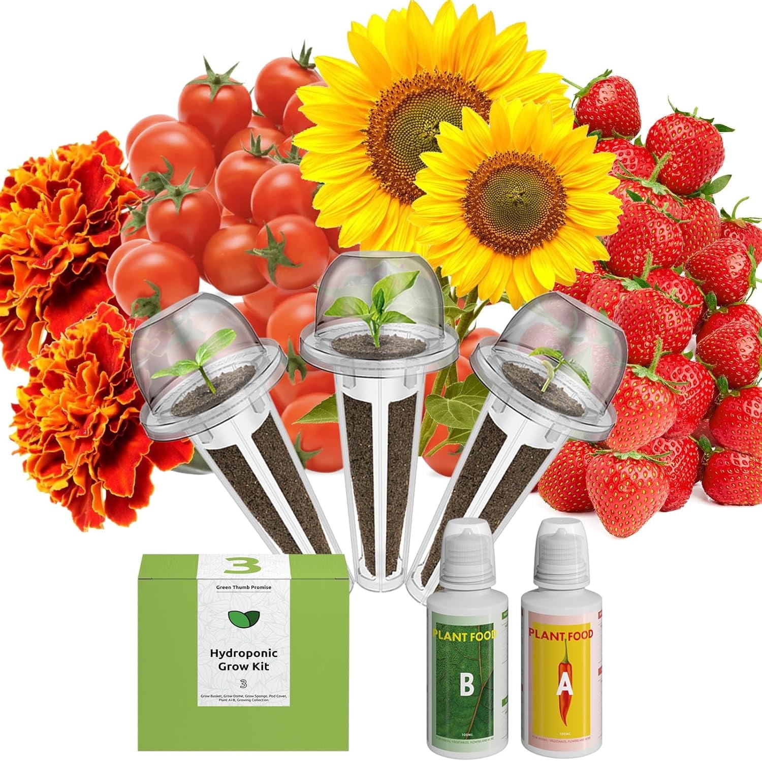 inbloom Wildflower & Fruit Mixd Seed Pod Kit for AeroGarden ...