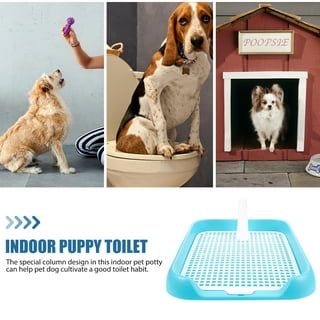 Paterr 2 Pack Dog Potty Training Tray, Pee Pad Holder, Easy to Clean Puppy  Pad Holder Tray with Diversion Column Nonslip Dog Pad Holders Heighten Dog