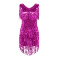 thumbnail image 1 of inhzoy Womens Sequins Flapper Latin Salsa Dance Dress V-Neck Tassel 1920s Cocktail Party Dress Rose M, 1 of 7