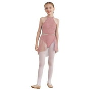inlzdz Kids Girls Sleeveless Halter Lyrical Dance Costume Ballet Jazz Gymnastics Dance Leotard Dress Dark Pink 12