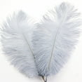 thumbnail image 1 of ionze 30-35cm Large Ostrich Feathers for Vase, Floral Arrangement, Wedding Party Centerpieces Home Decorations (Gray), 1 of 6