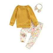 jaweiw Size 0 6 12 18 24 Months Baby Girl Clothes Set Solid Color Long Sleeve Knitted Tops and Floral Printed Pants Spring Fall Outfits