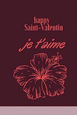 je t'aime: saint-valentin (Paperback)