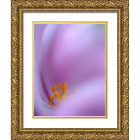 jealousy 19x24 Gold Ornate Wood Framed with Double Matting Museum Art Print Titled - Secret Dream