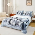 thumbnail image 1 of jejeloiu Antarctic Penguin Twin Sheet Set (3-Piece) Gray White Ultra Soft Decor, 1 of 7