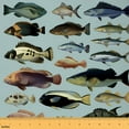 thumbnail image 1 of jejeloiu Pike Fish Fabric by the Yard 1 Yard,Bass Big Fish Home Decor Fabric by the Yard,Marine Life Sewing Fabric For Teens,Microfiber Bedroom Decor, 1 of 6